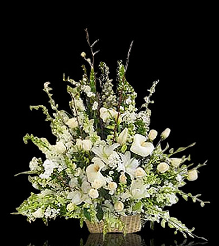 Blanc Sympathy Basket