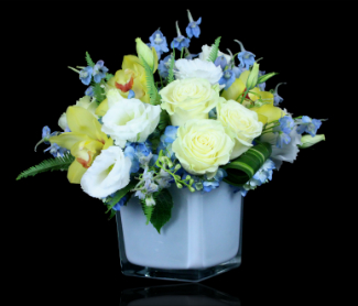 New Baby Flowers - Stapleton Floral Design