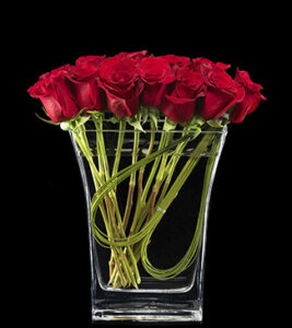Hedge of Roses by Stapleton Floral Design