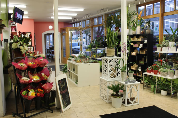 Stapleton Floral South Boston location