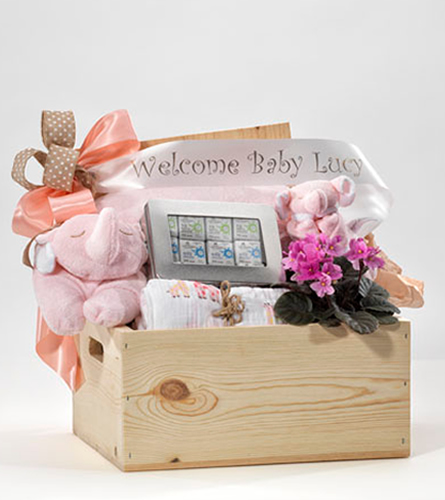 welcome baby girl gifts