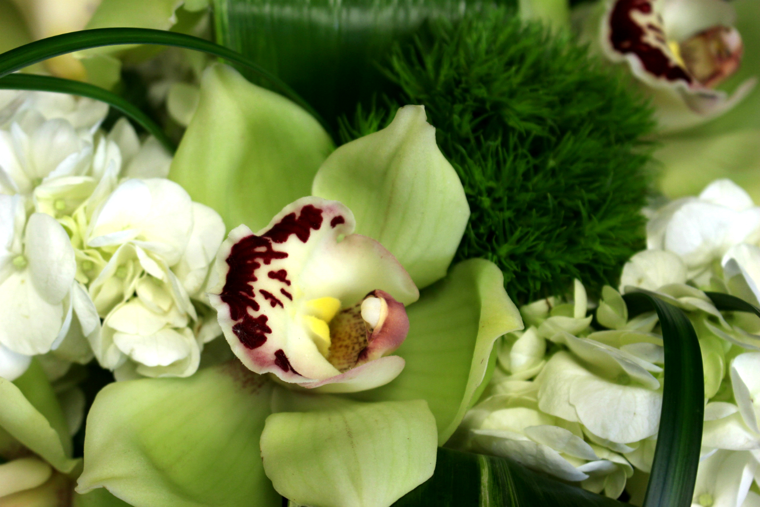 Classic Monocrome Classic Monochrome Boston Florist Stapleton Floral Design