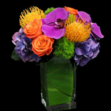 Our Latest Exclusive Seasonal Designs