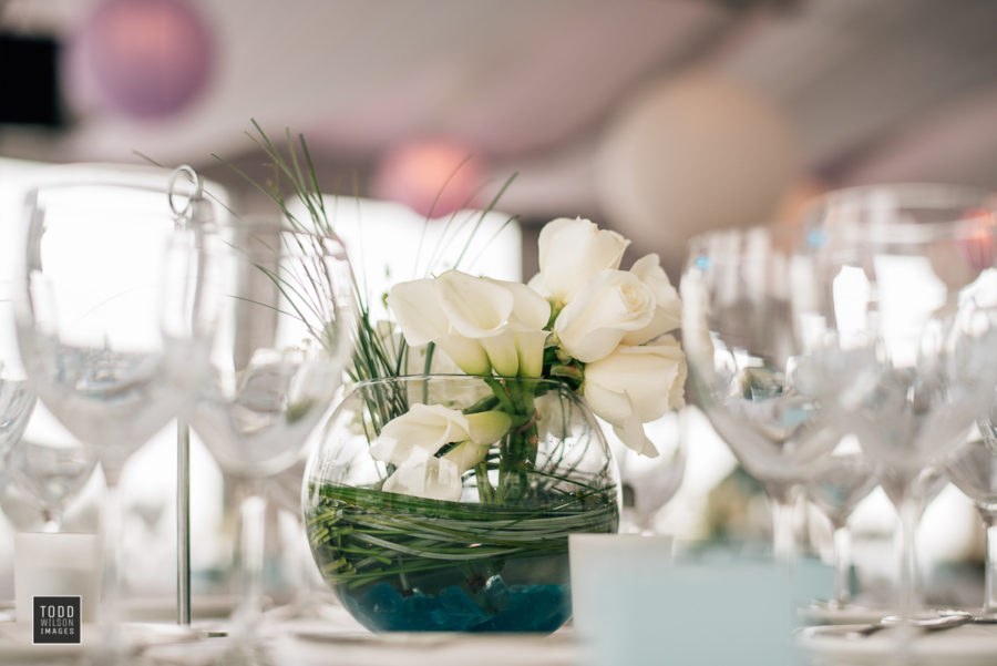 Deanna & Brian's Romantic Summer Wedding at The New England Aquarium, Photographer: Todd Wilson Images