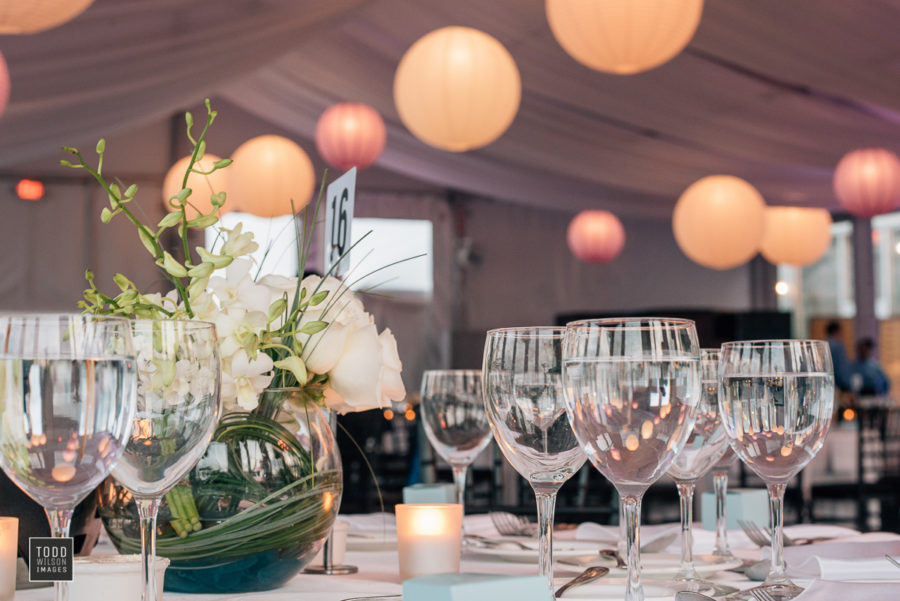 Deanna & Brian's Romantic Summer Wedding at The New England Aquarium, Photographer: Todd Wilson Images