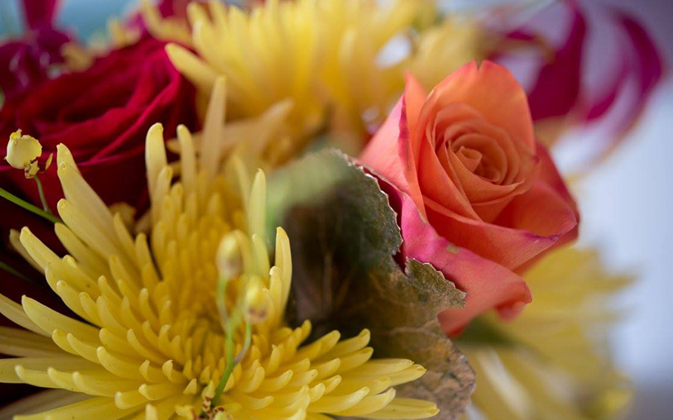 Private Event at The Boston Public Library, Photographer: Professional Event Images, Inc.