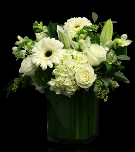 Blanc Sympathy Vase