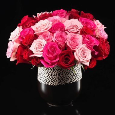 Just Added Romance Designs