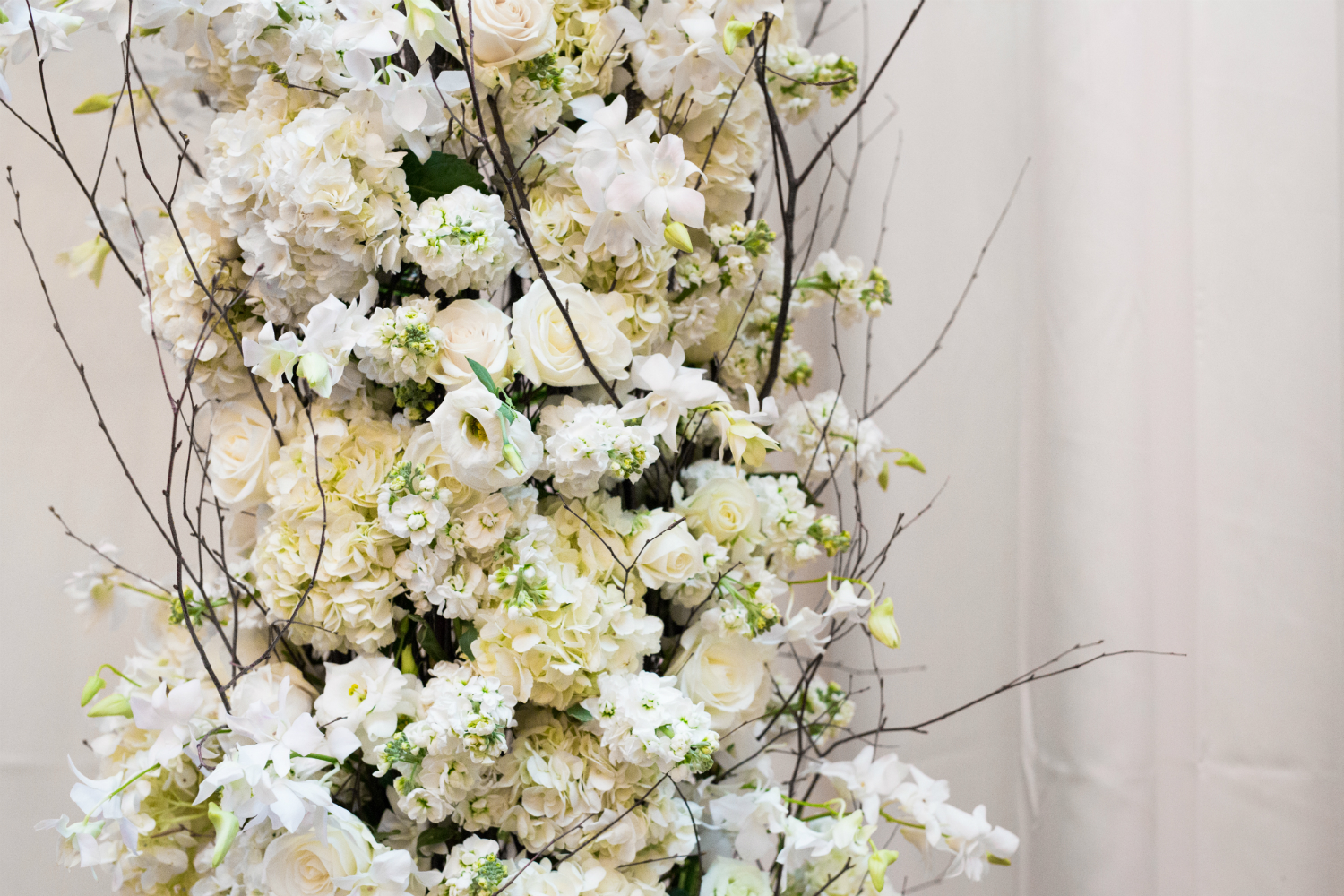 white roses and hydrangeas wedding arch by Stapleton Floral Design