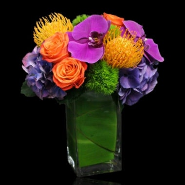 Our Latest Exclusive Seasonal Designs