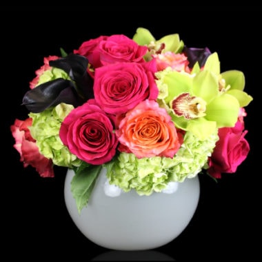 Our Latest Exclusive Seasonal Designs