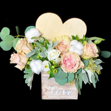 Just Added Romance Designs