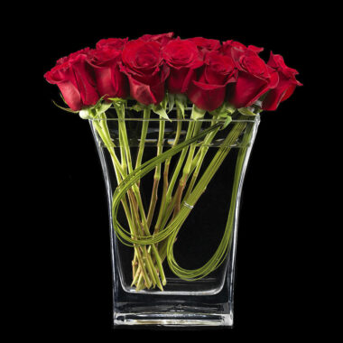 Just Added Romance Designs