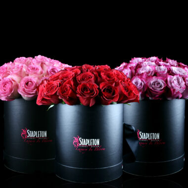 Just Added Romance Designs