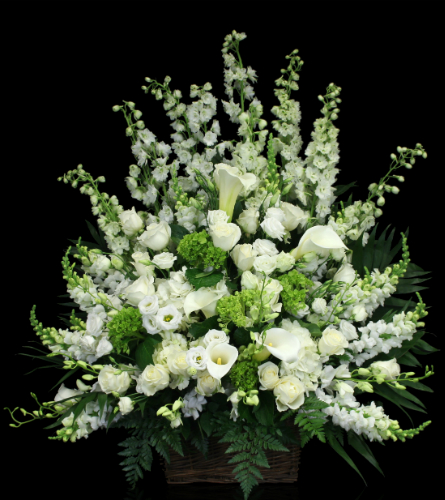 Blanc Calla Lily Sympathy Basket