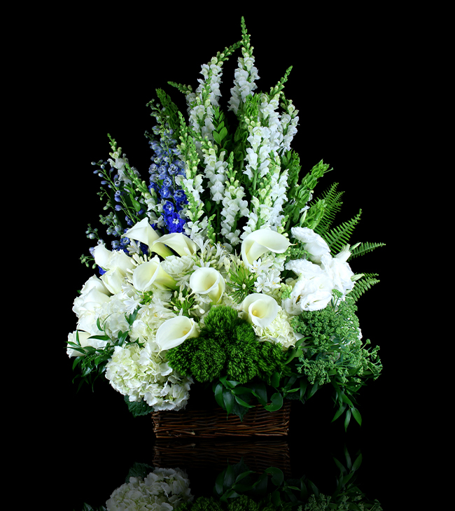 Sapphire Calla Lily Sympathy Basket
