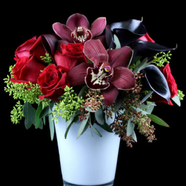 Just Added Romance Designs