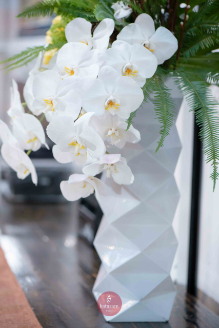 white orchids in a gloss white vase