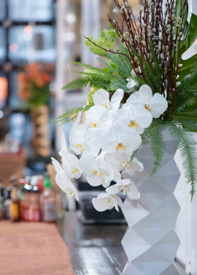 white orchids display