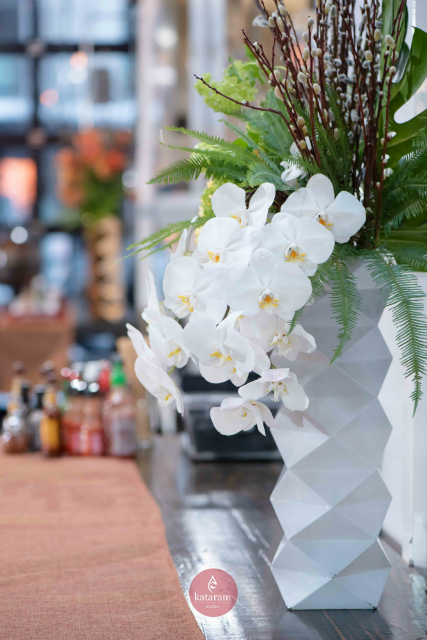 white orchids display