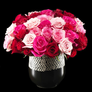 Just Added Romance Designs