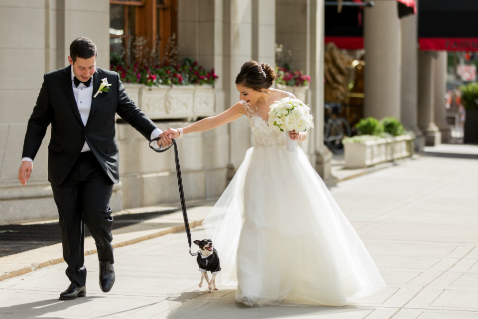 Bride and Groom with their dog