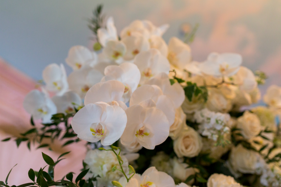 White orchids by Stapleton Floral Design