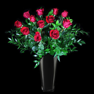 Luxurious Long Stem Red Roses