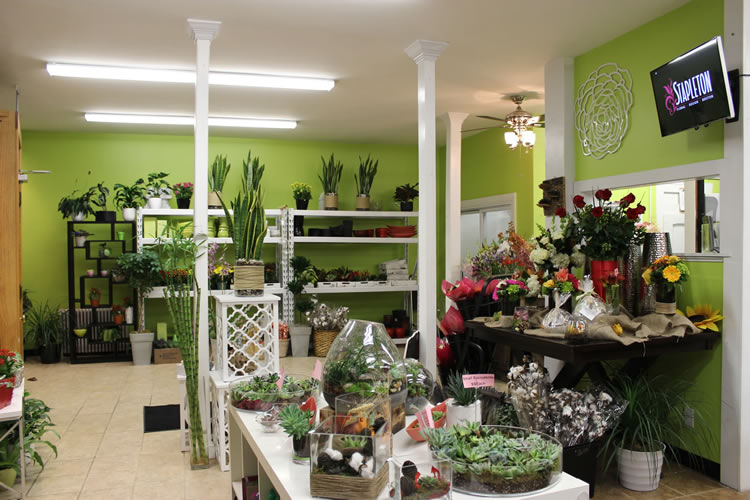 Stapleton Floral South Boston location