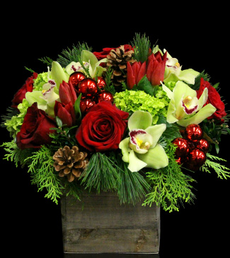Christmas Joy by Stapleton Floral Design