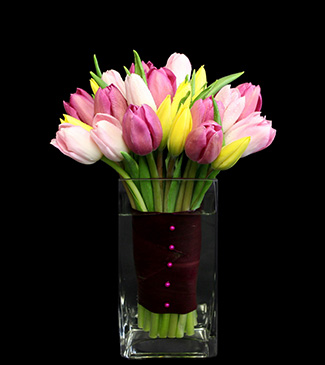 spring seasonal flowers with pink tulips in Boston