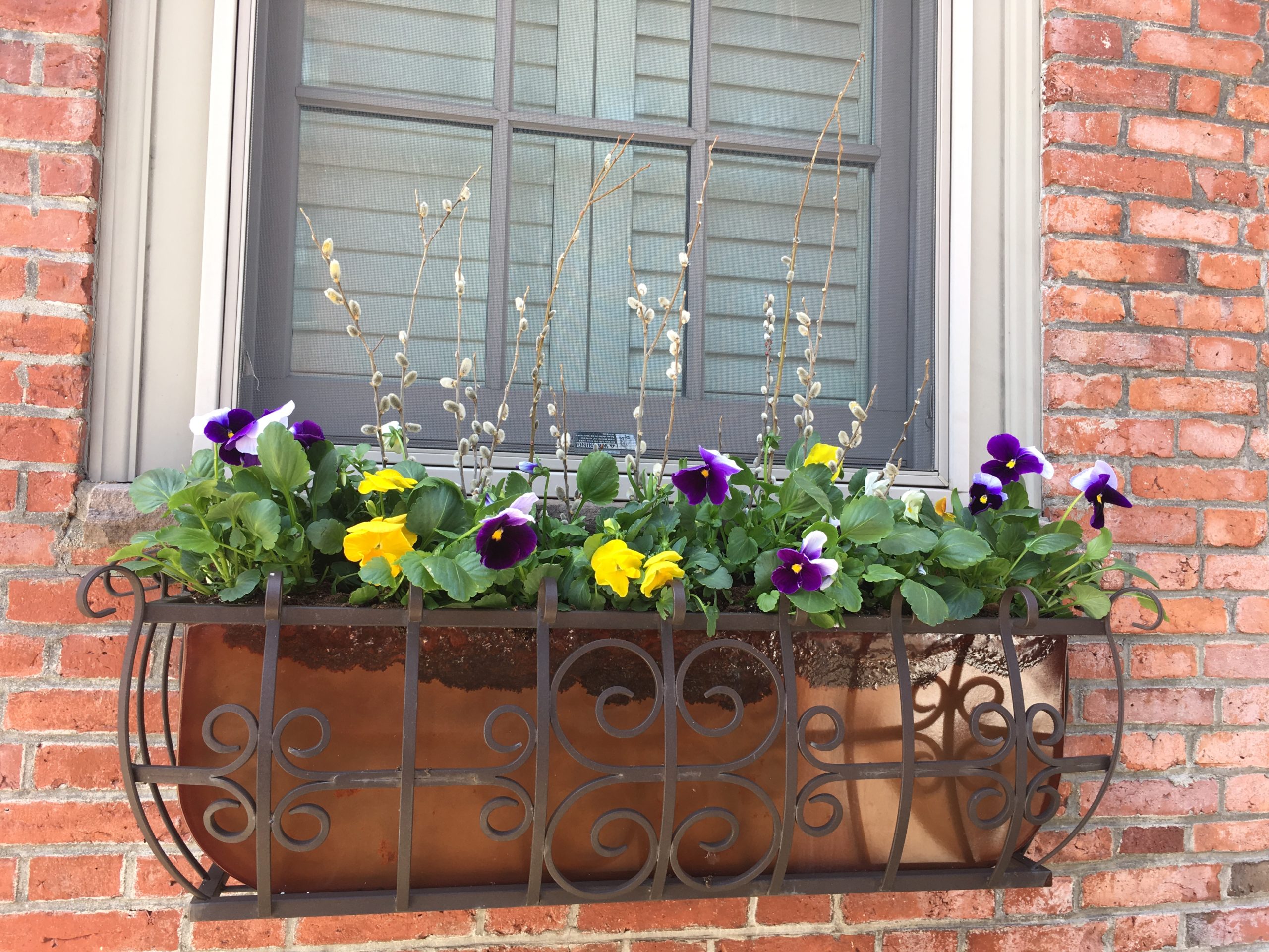 Seasonal Outdoor Window Setup - Boston Florist | Stapleton Floral Design