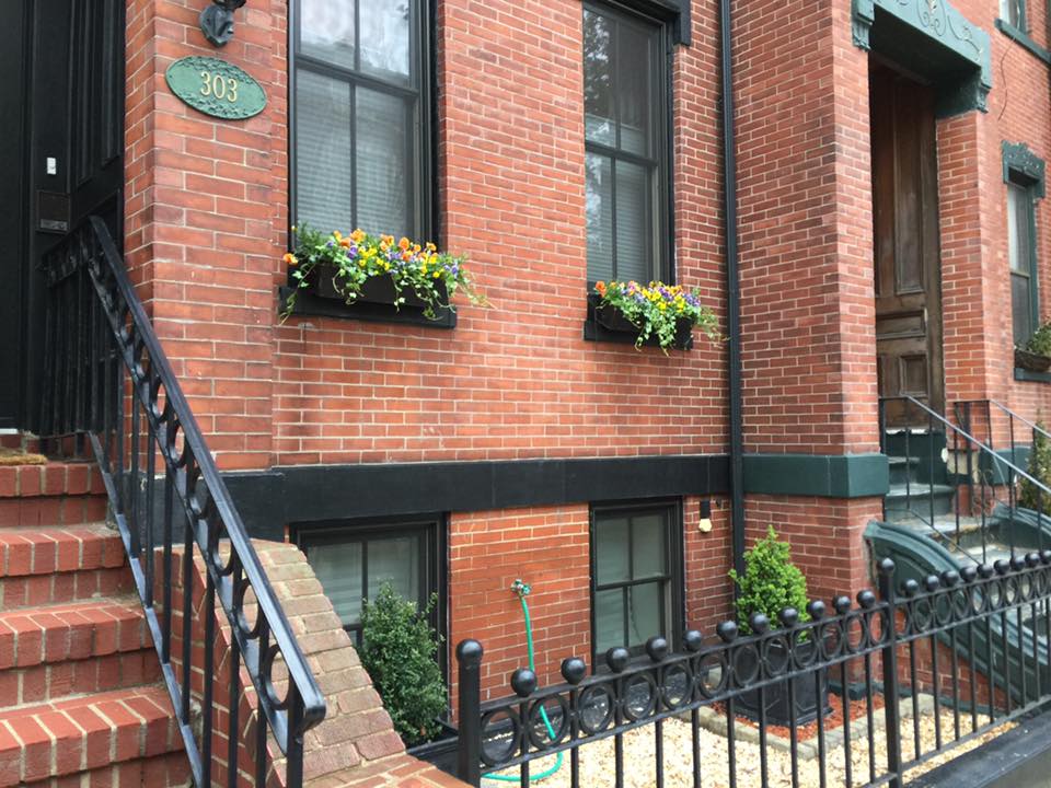 South Boston Residential Exterior Planting