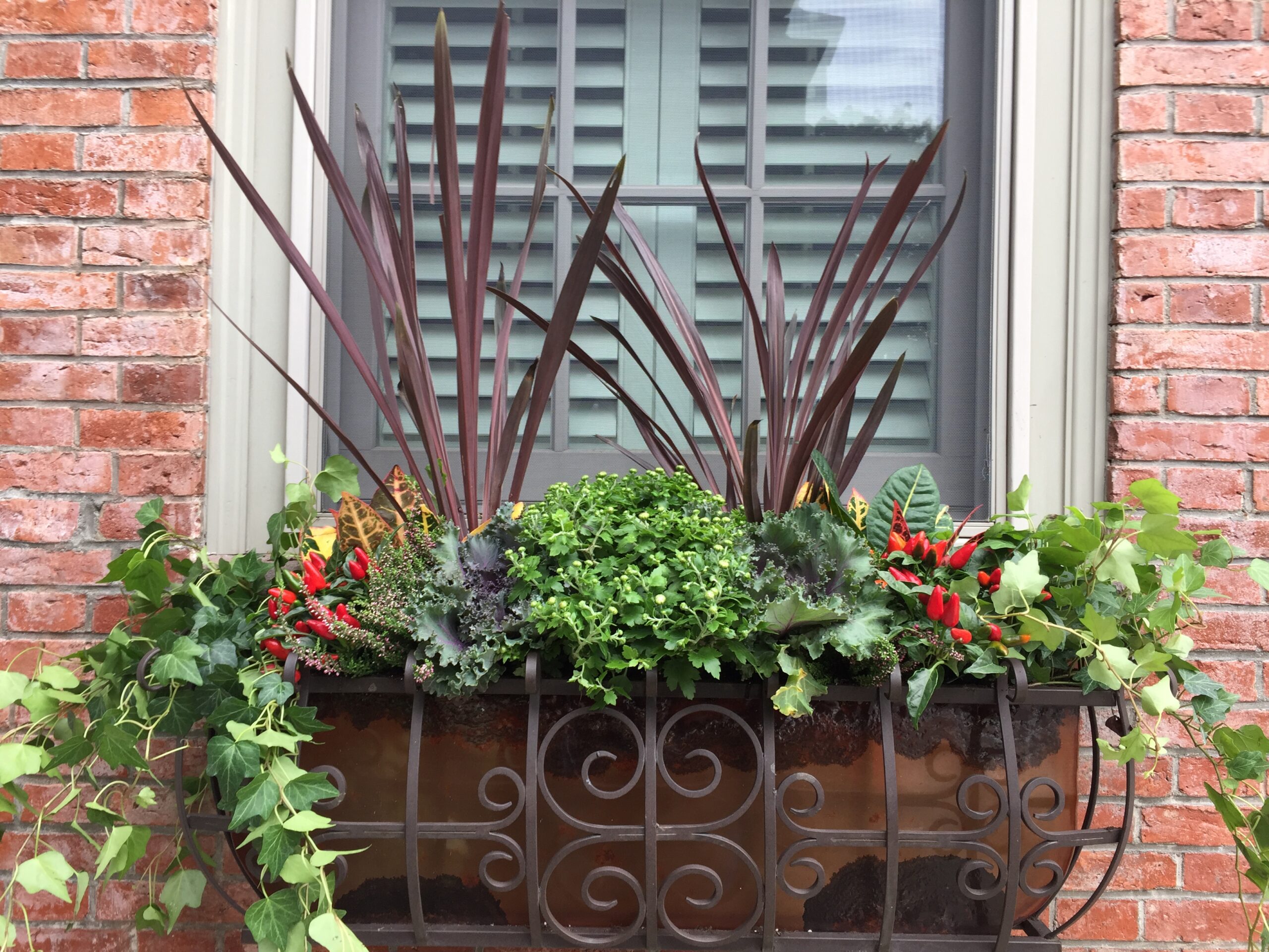 Fall Residential Window Box by Stapleton Floral Design