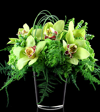 seasonal flowers with unique green flowers