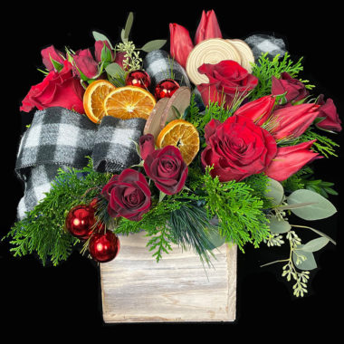 Our Exclusive Seasonal Collection