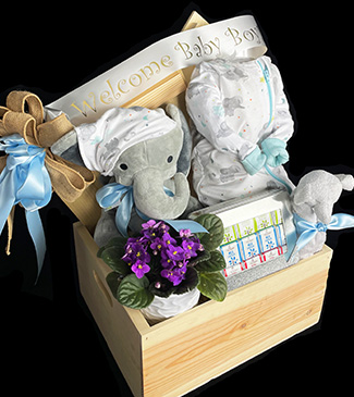 Welcome baby boy gift basket 