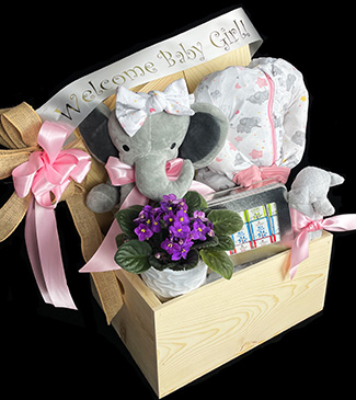 Welcome baby girl gift basket 