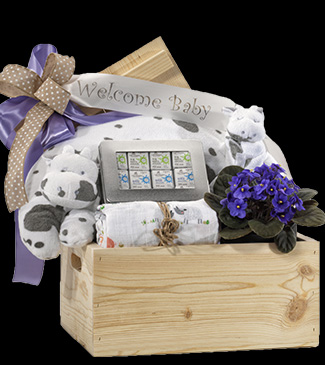 Welcome baby gift basket 