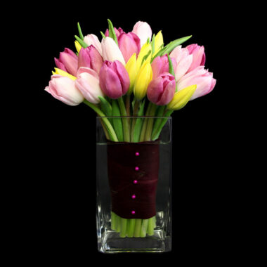 Our Exclusive Mother’s Day Collection