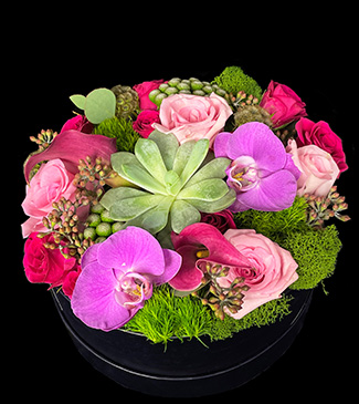 shop romance flowers with succulents and orchids