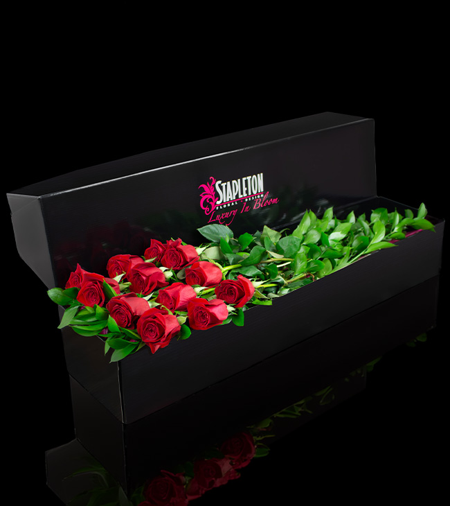  luxurious long dozen red roses in box
