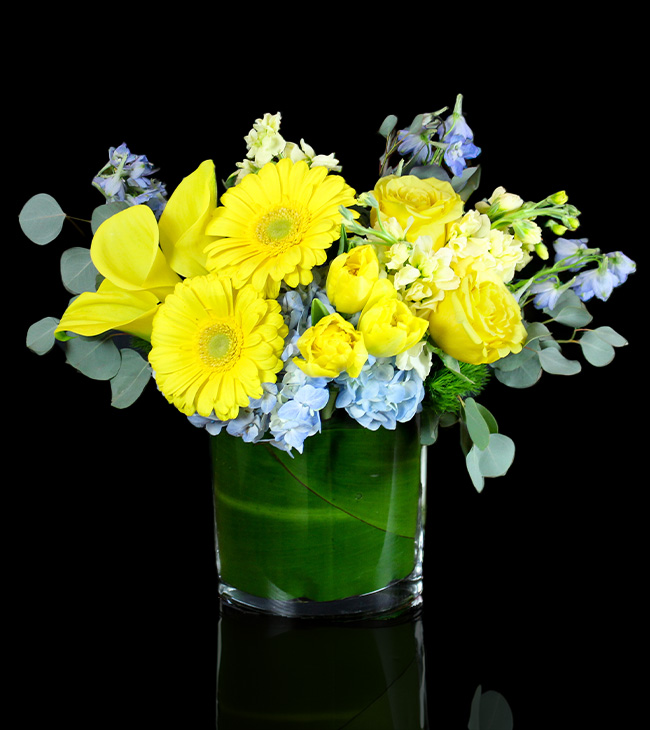 Get Well Flowers in Boston