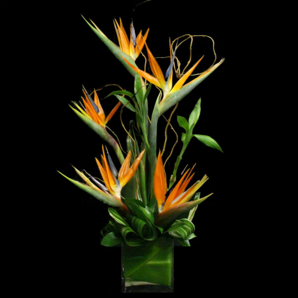 Tall Tropical Floral Design for Purchase - Image 3