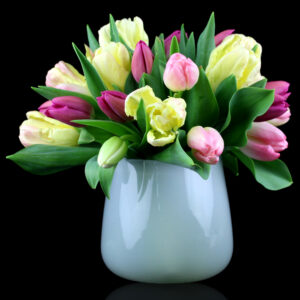 Tulip Soiree Floral Arrangement