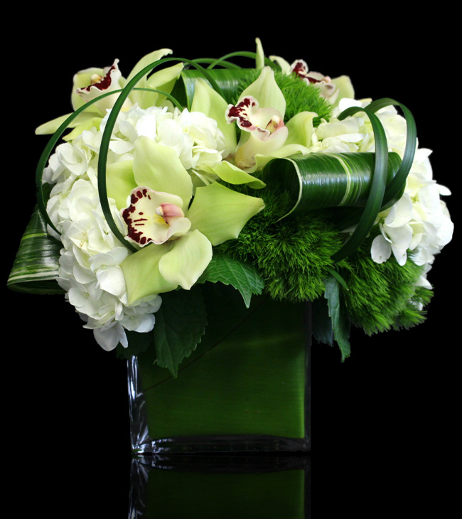 classic white floral arrangement by Stapleton Floral Design