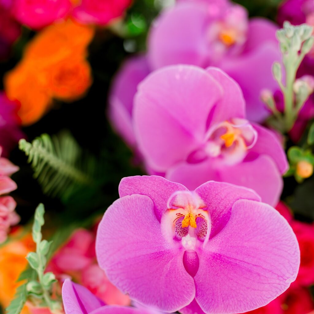 Close-up of vibrant pink orchids featured in a colorful summer wedding floral arrangement.