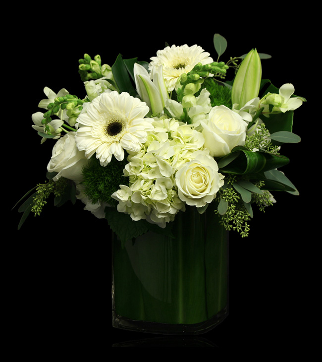 Blanc Sympathy Vase
