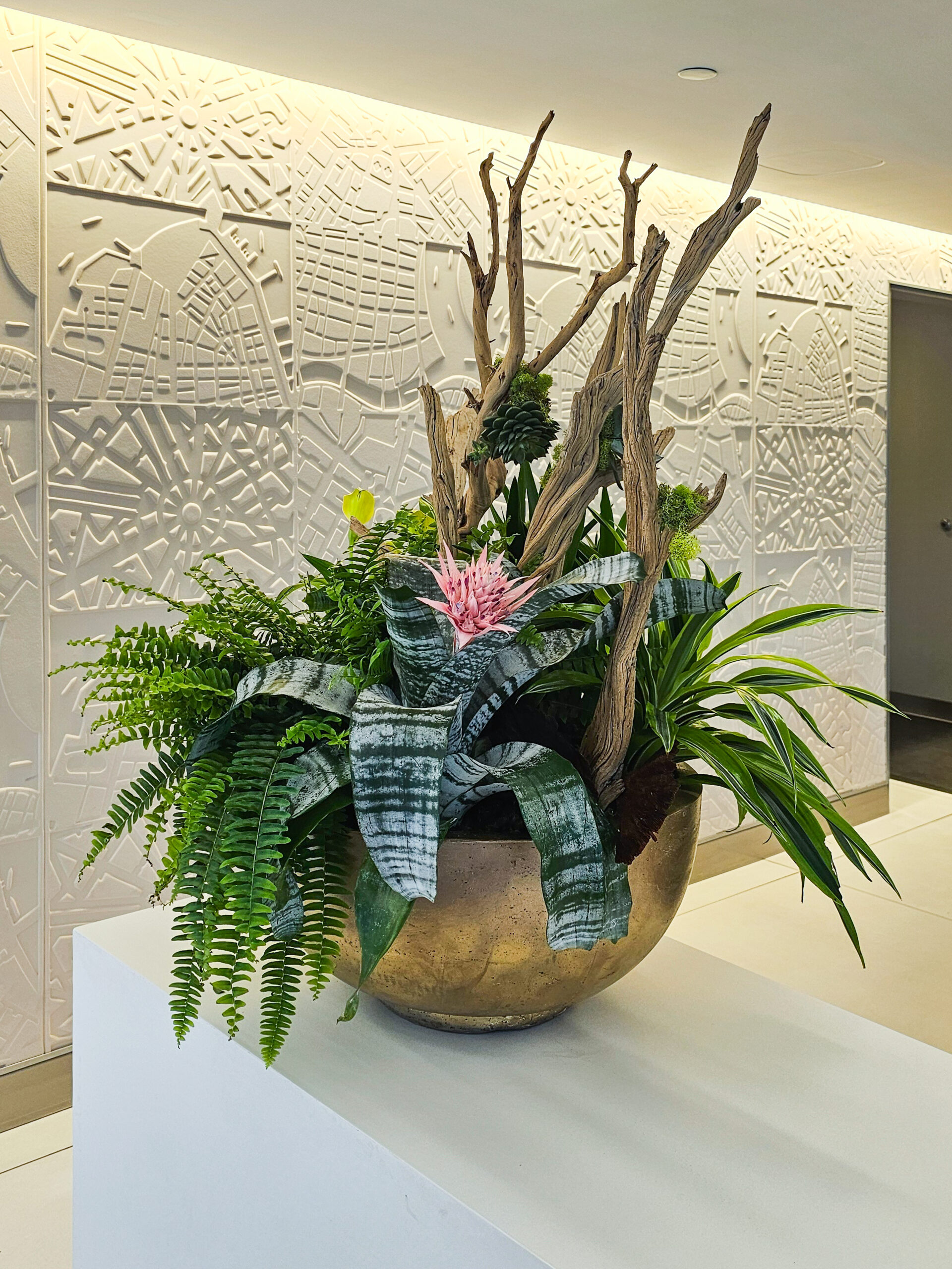 20250506_143636 (1)-Enhanced-SR