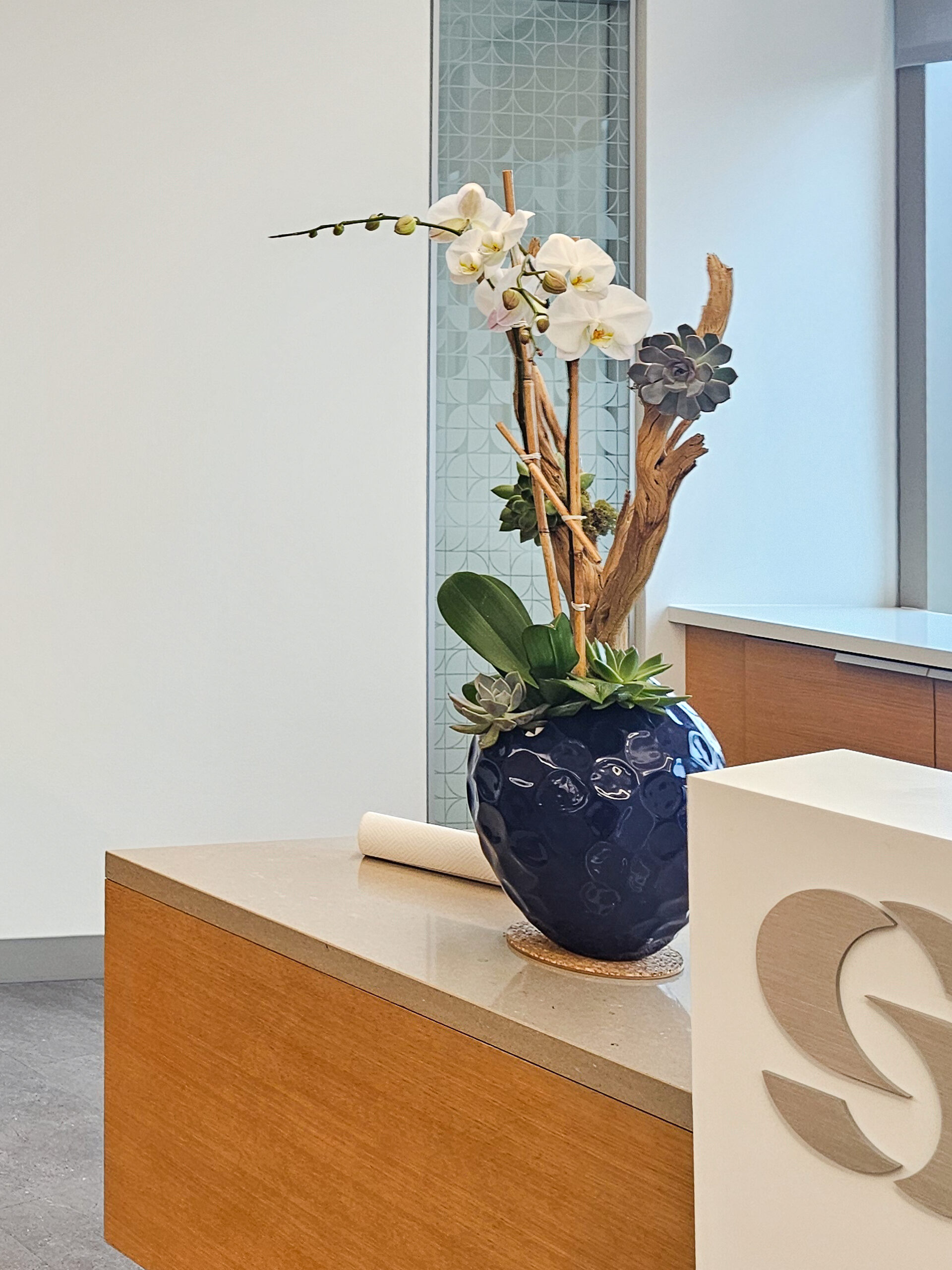 20250609_095028 (1)-Enhanced-SR-2